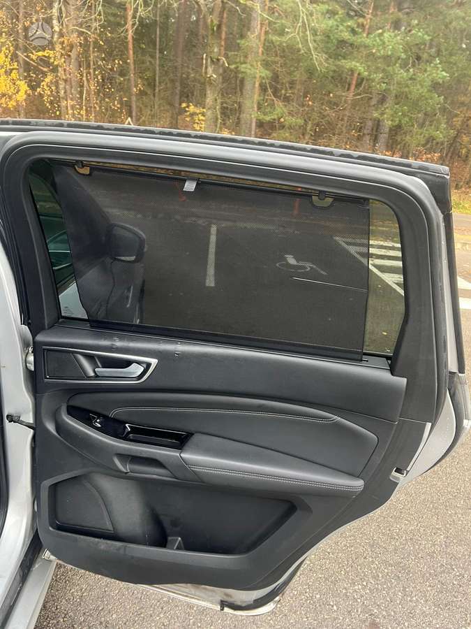 Ford S-MAX, 2.0 l., mpv / minivan