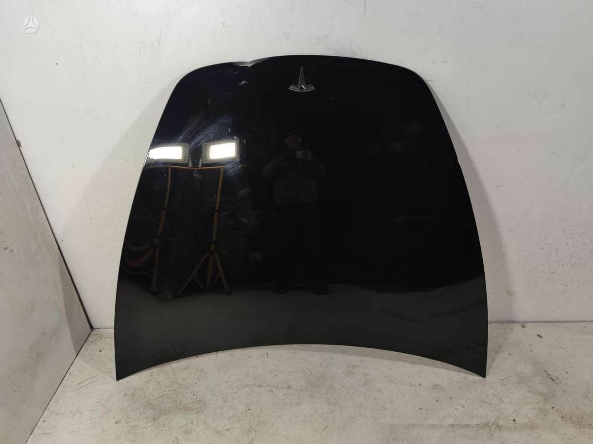 Tesla Model 3 hood (front, rear)
