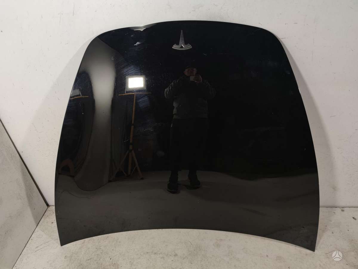 Tesla Model 3 hood (front, rear)