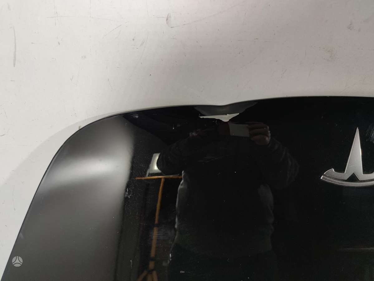 Tesla Model 3 dangtis (priekinis, galinis)