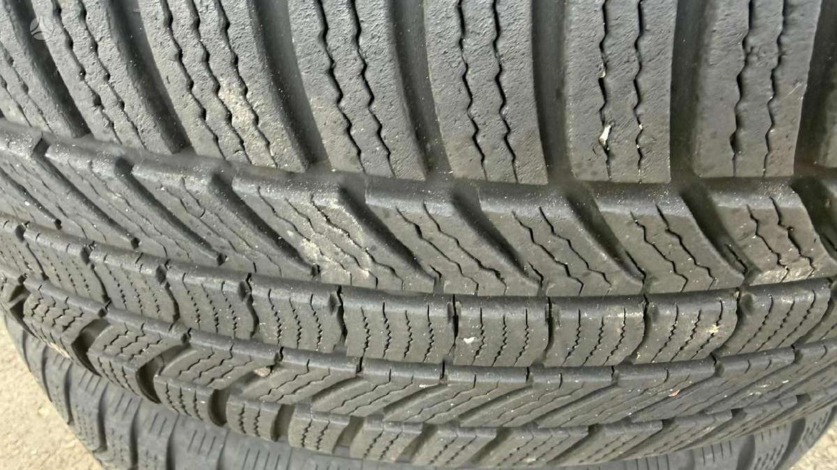 MEGA WHEELS, lengvojo lydinio, R19