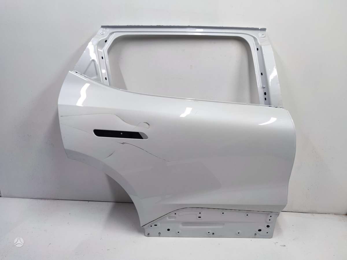 Renault Scenic durvis