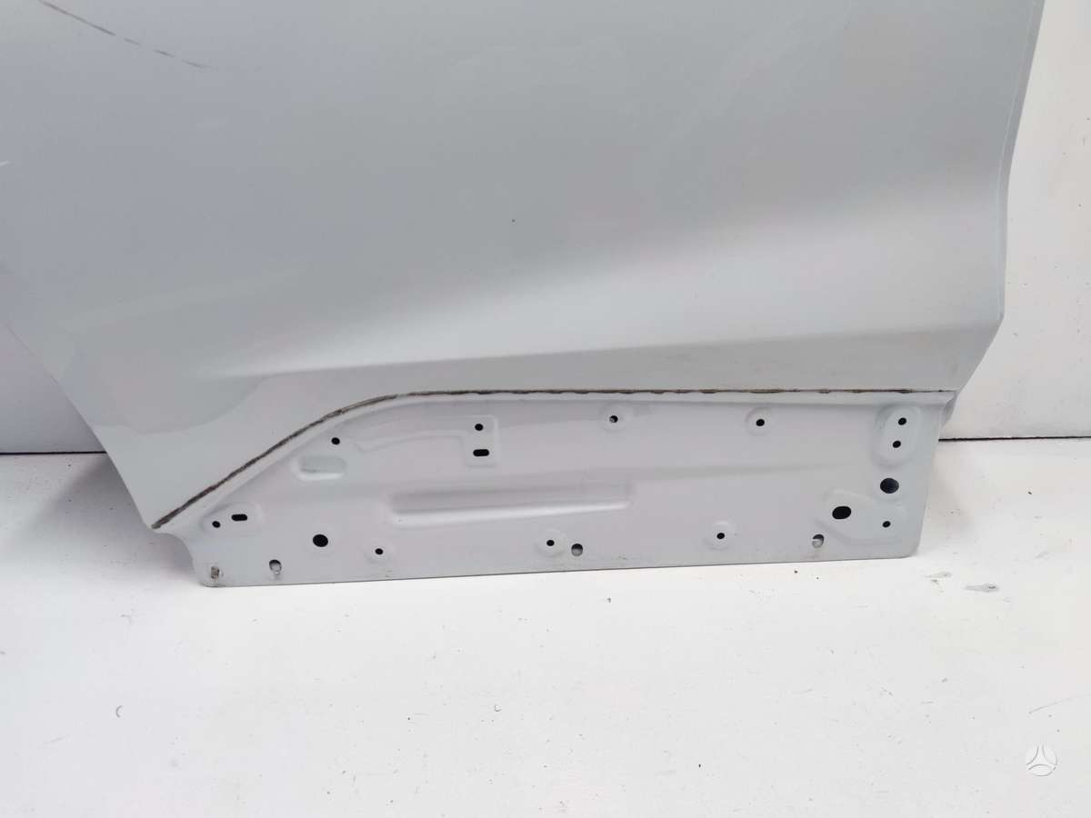 Renault Scenic durvis