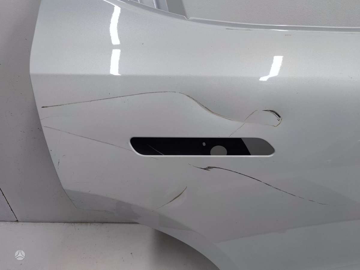 Renault Scenic двери