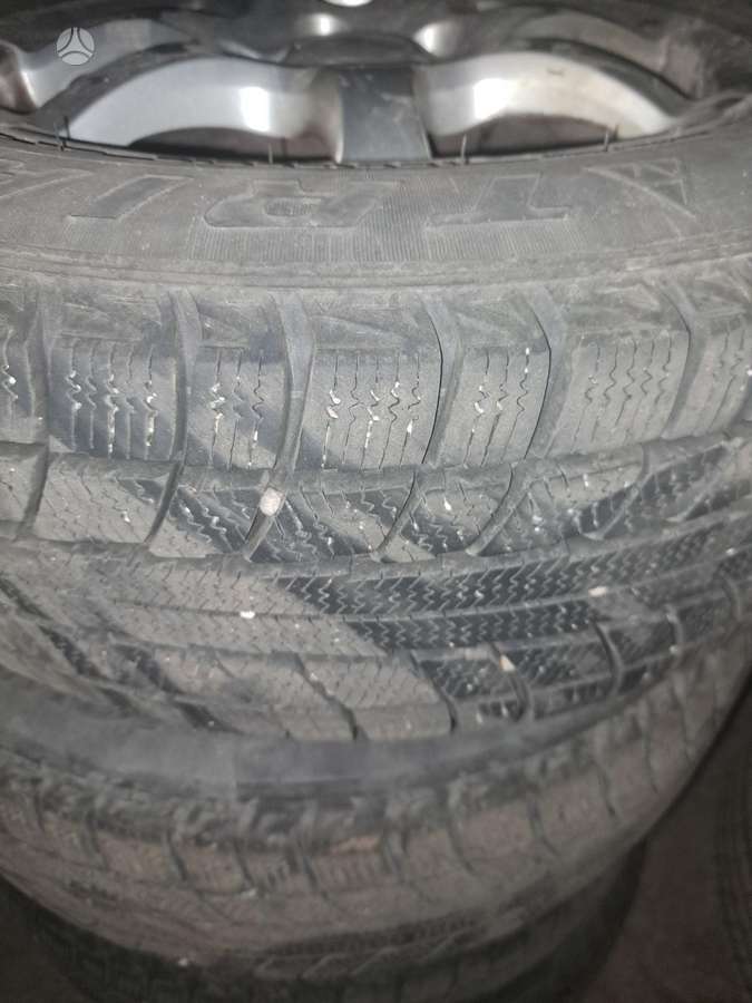 Triangle, all-season 195/65 R15