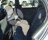 Volkswagen Golf rezerves daļās