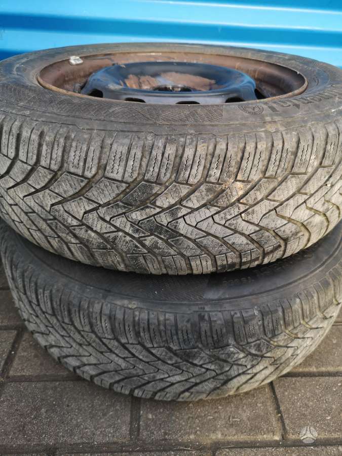 Continental, winter 195/65 R15