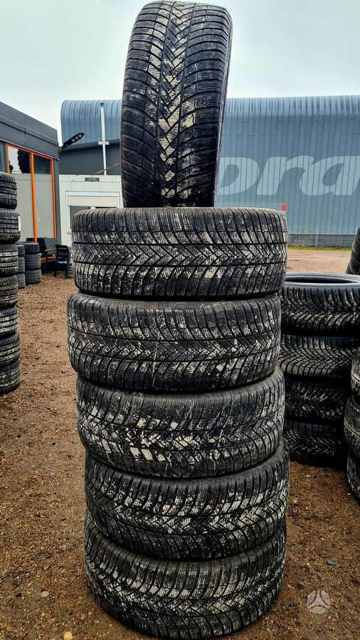 Bridgestone, žieminės 255/50 R19