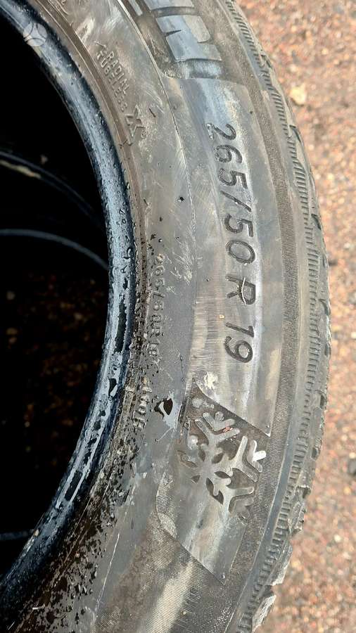 Michelin, winter 265/50 R19
