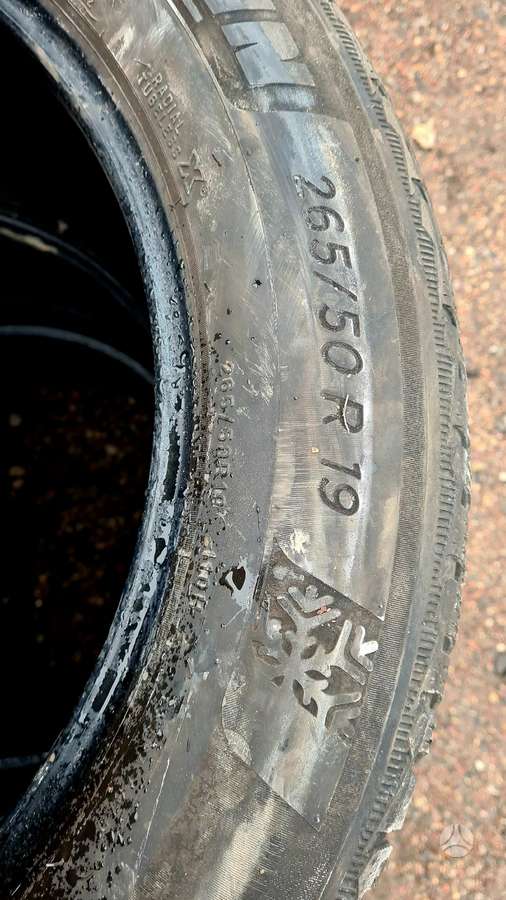 Michelin, зимние 265/50 R19