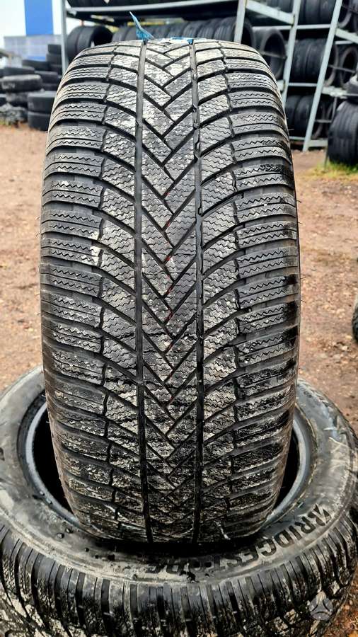 Bridgestone, winter 245/50 R19
