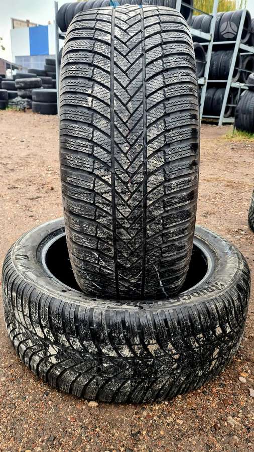 Bridgestone, winter 245/50 R19