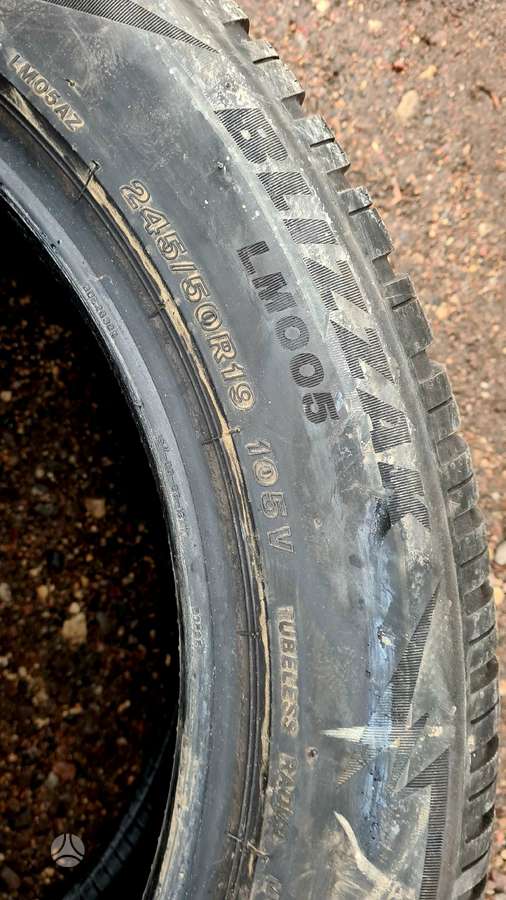 Bridgestone, winter 245/50 R19