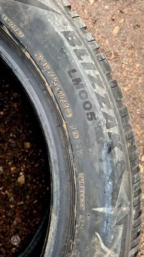 Bridgestone, ziemas 245/50 R19