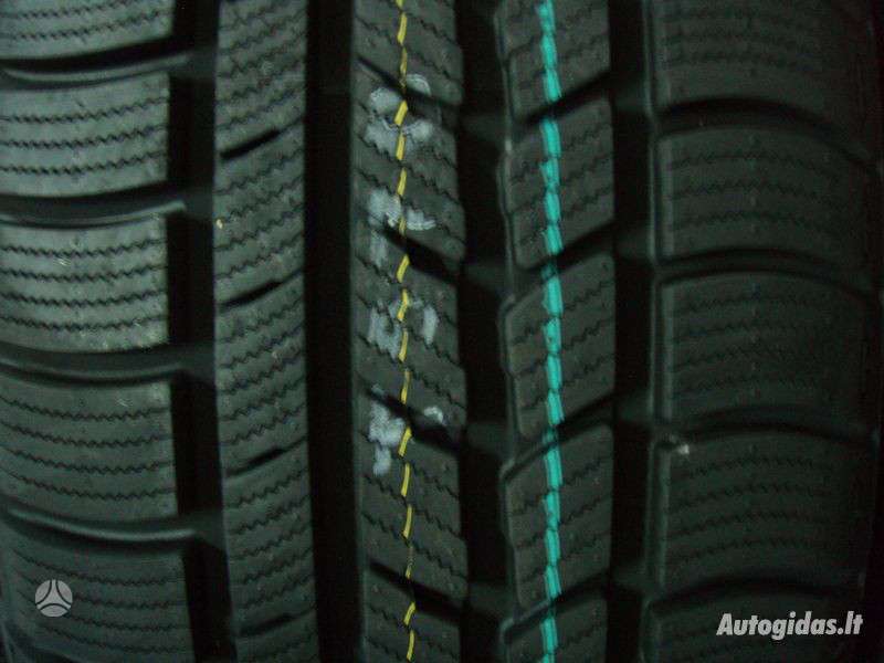 Nexen, žieminės 245/50 R18