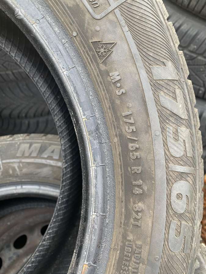 Semperit MasterGrip, зимние 175/65 R14