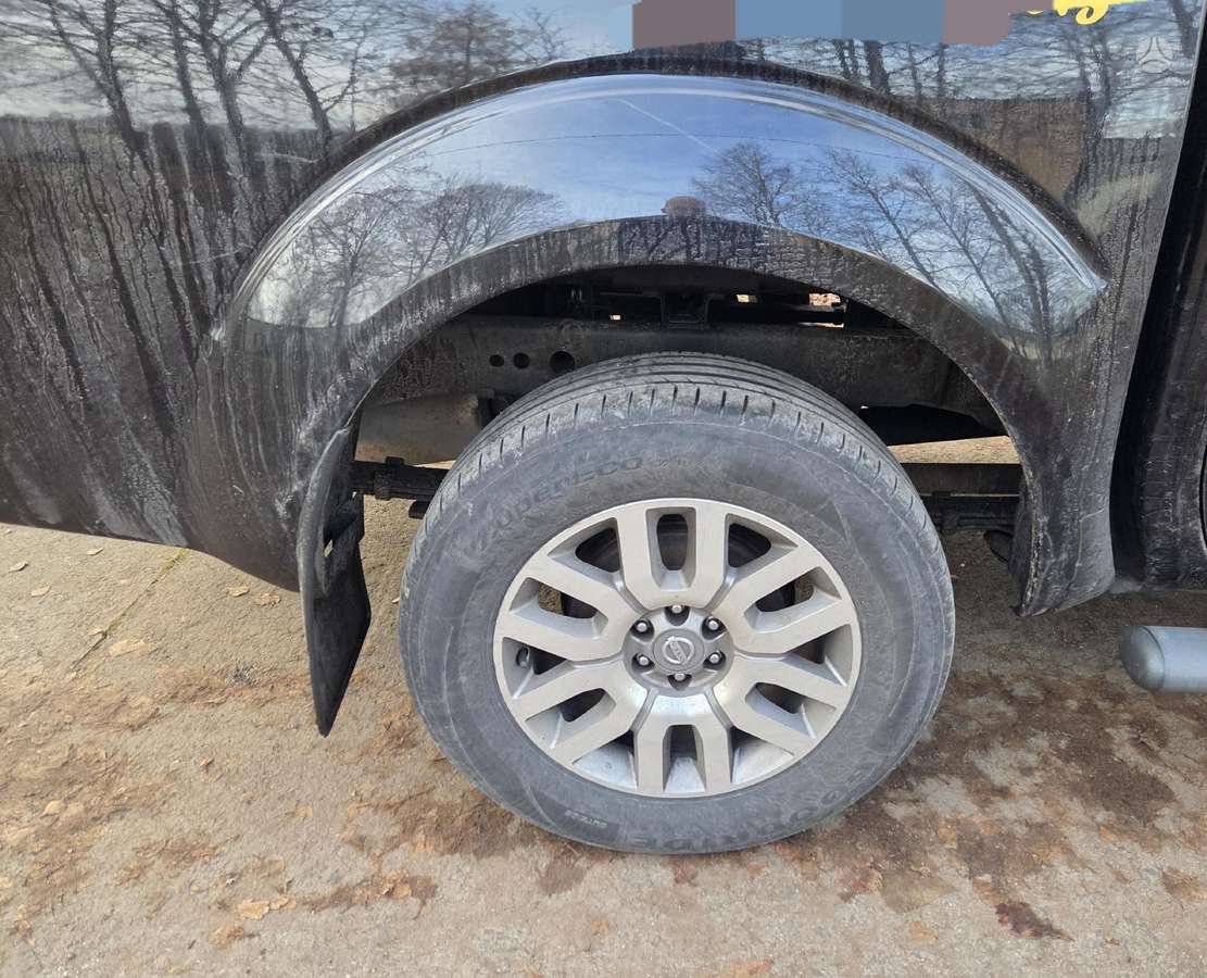 Nissan Navara Dalimis