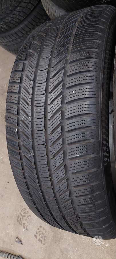 Continental, žieminės 255/50 R19