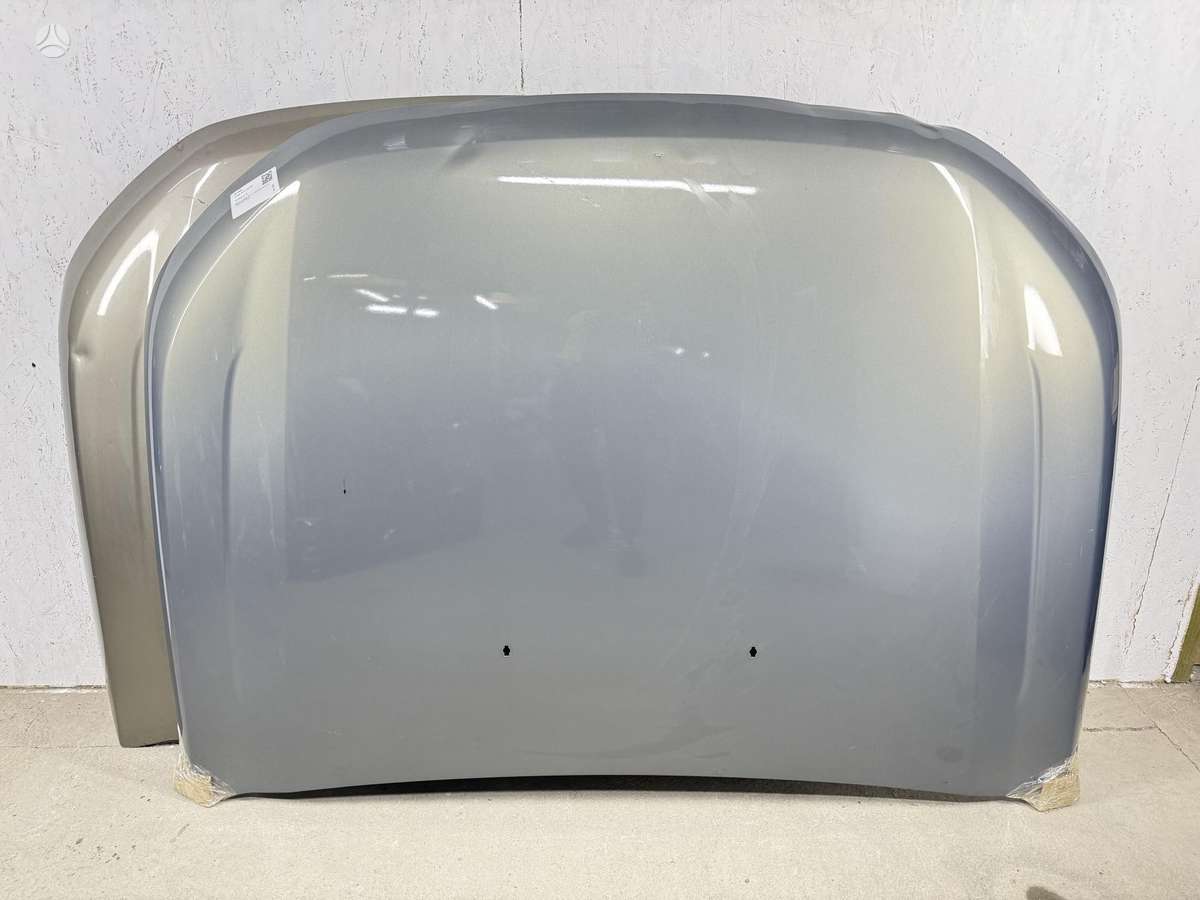 Ford Ranger hood (front, rear), front grill