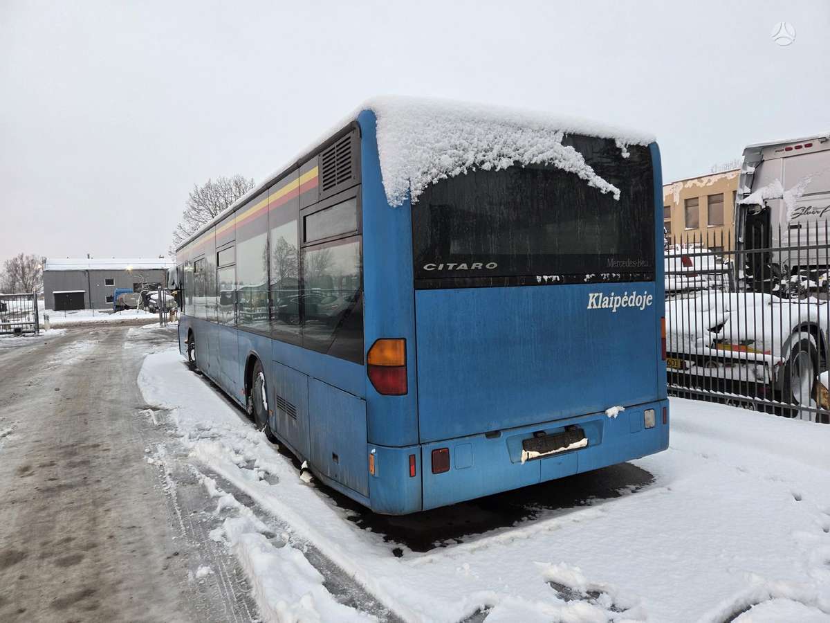 Mercedes-Benz Citaro, buses