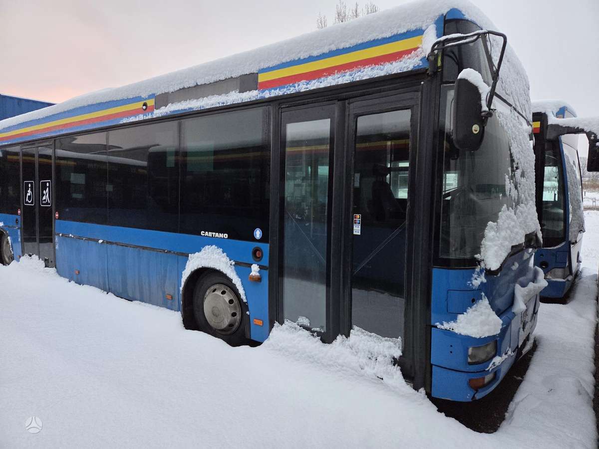 MAN MAN, buses
