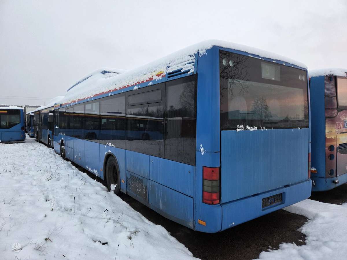 MAN MAN, autobusi