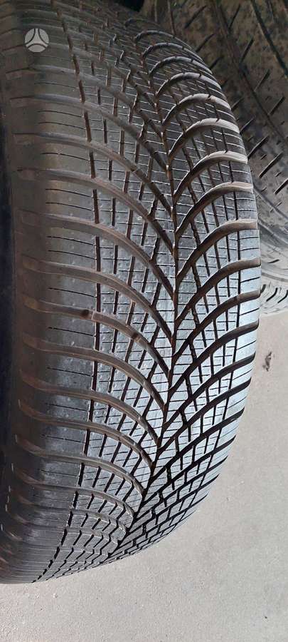 Goodyear, universalios 235/55 R19