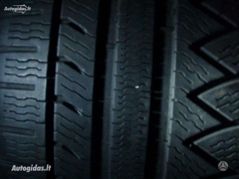 Michelin, žieminės 225/50 R17