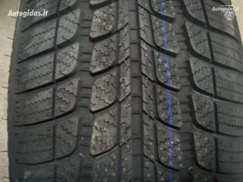 Michelin, žieminės 225/50 R17
