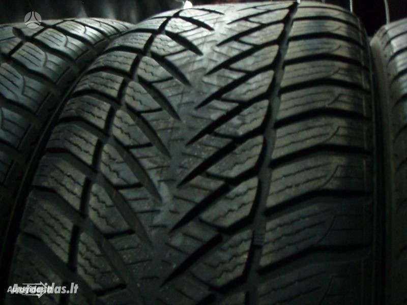 Michelin, žieminės 225/50 R17