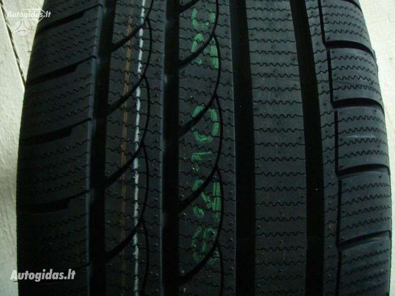 Michelin, žieminės 225/50 R17