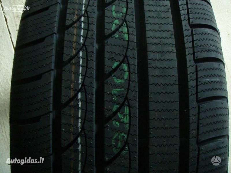 Michelin, žieminės 225/50 R17