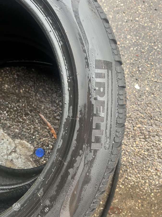 Pirelli P zero winter, universalios 225/55 R19
