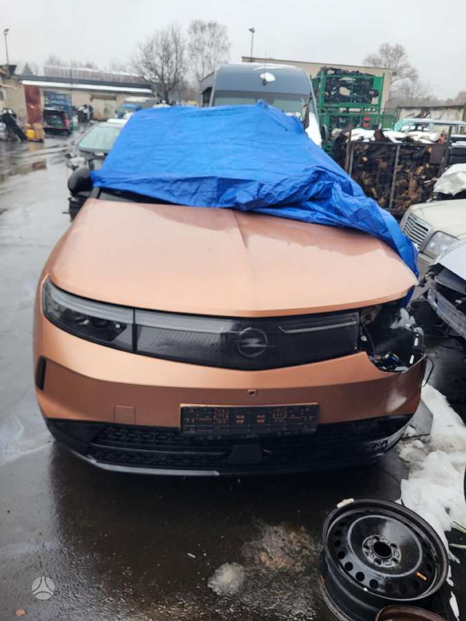 Opel Grandland dalimis