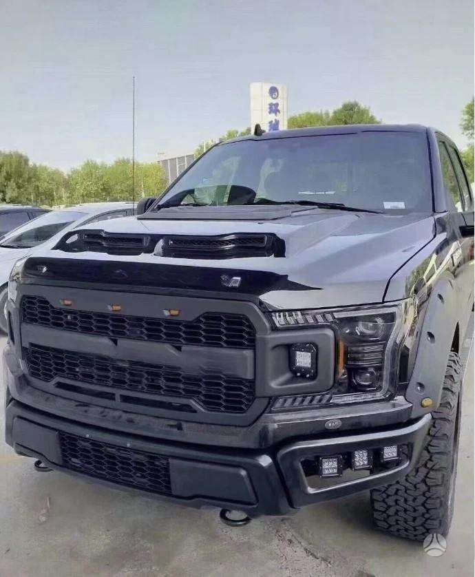 Ford F-150 hood (front, rear)