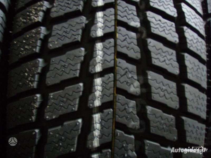 Sunny, winter 225/60 R17