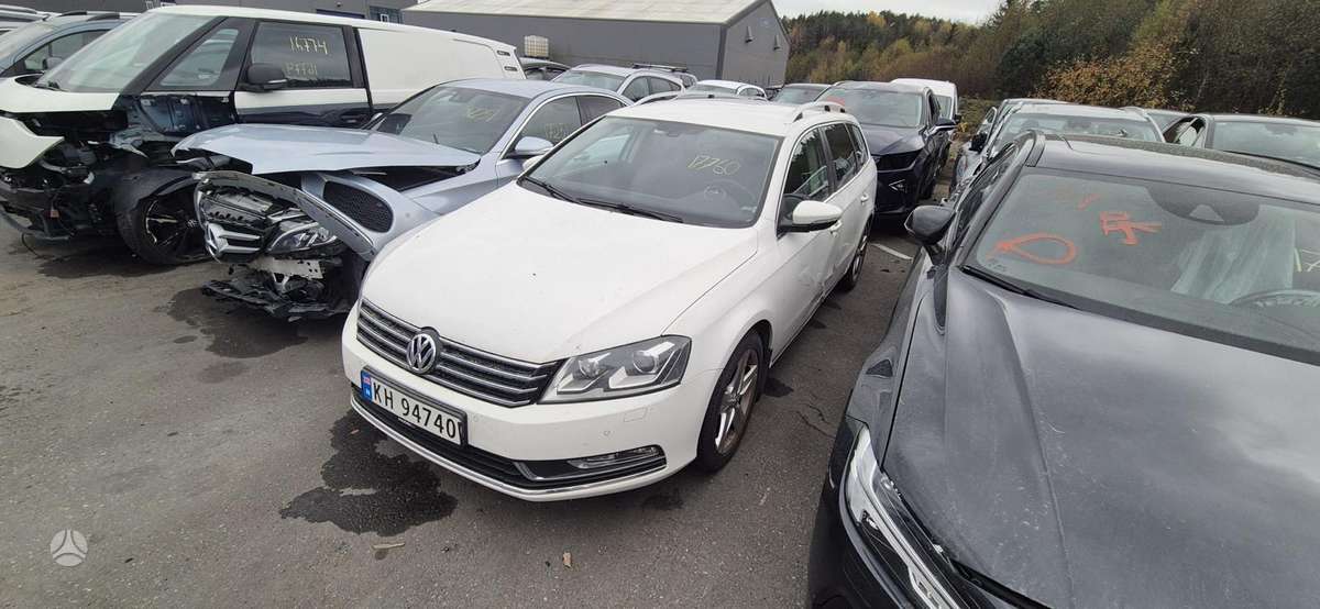 Volkswagen Passat dalimis