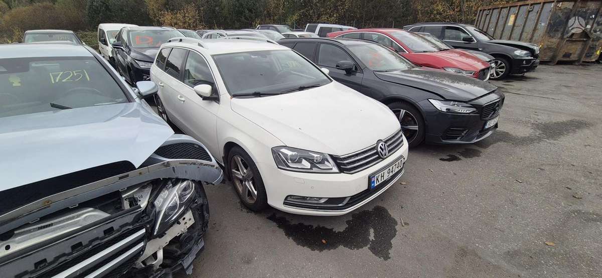 Volkswagen Passat dalimis