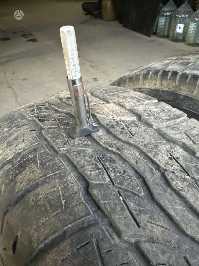 Bridgestone, vasaras 225/65 R17
