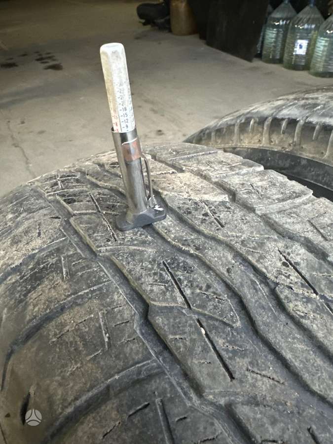 Bridgestone, vasarinės 225/65 R17