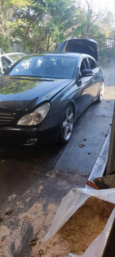 Mercedes-Benz CLS320 dalimis