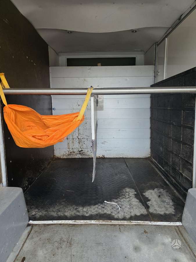 Renault Master, скотовозы
