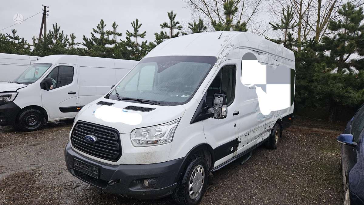 Ford Transit, грузовые микроавтобусы