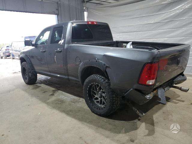 Dodge Ram Spalva pau