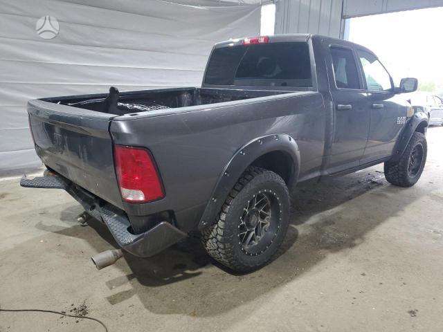 Dodge Ram Spalva pau