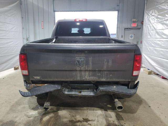 Dodge Ram Spalva pau