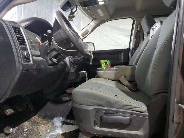 Dodge Ram Spalva pau