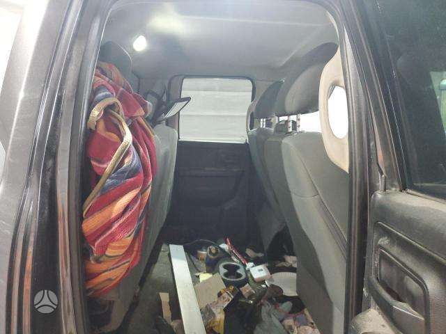 Dodge Ram Spalva pau
