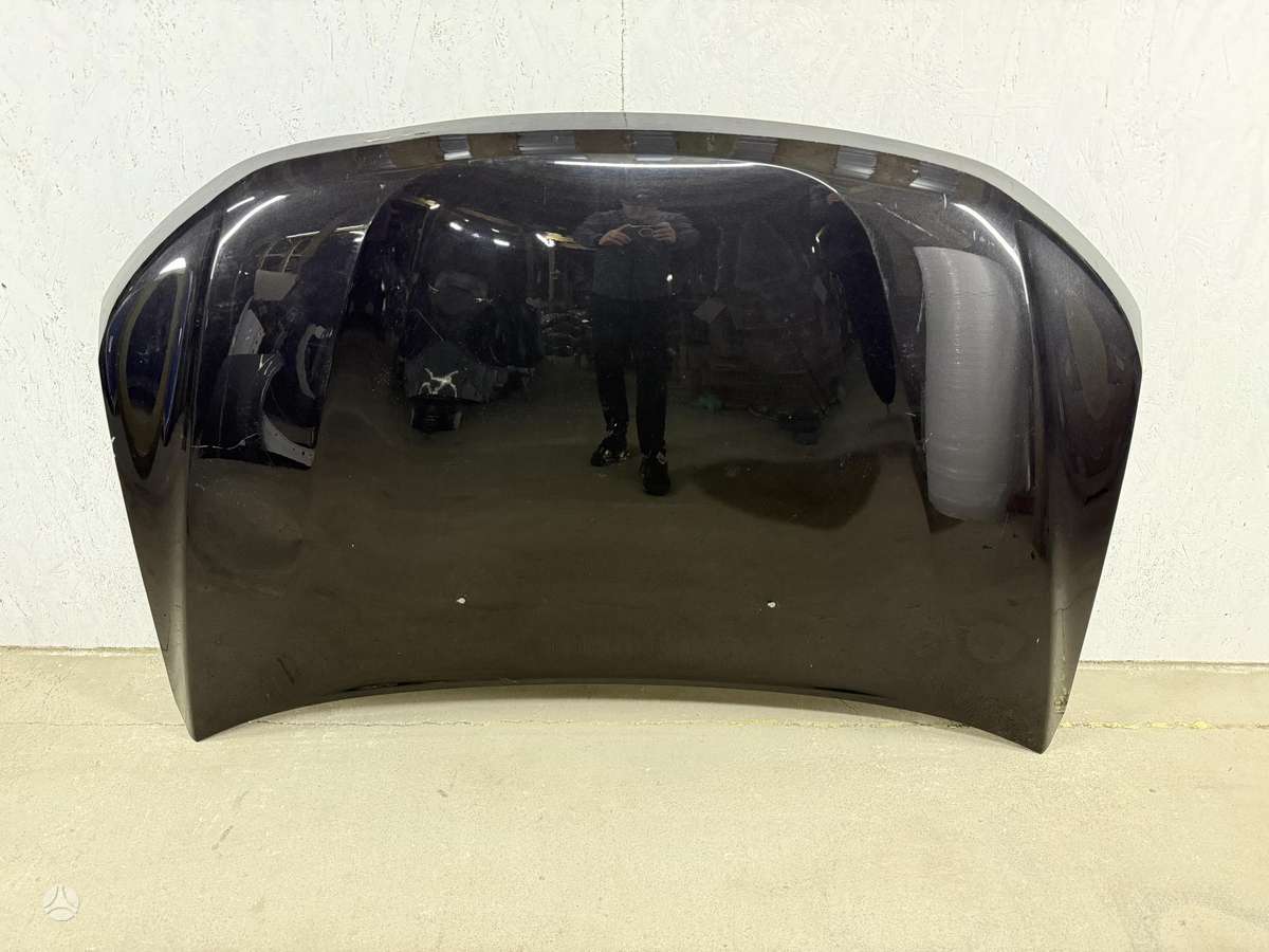 Dacia Duster hood (front, rear)