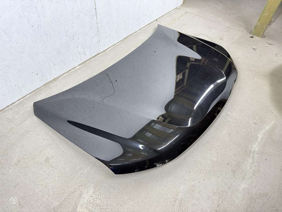Dacia Duster hood (front, rear)